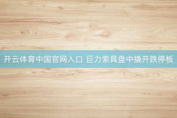 开云体育中国官网入口 巨力索具盘中撬开跌停板