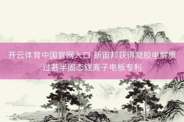开云体育中国官网入口 新宙邦获得凝胶电解质过甚半固态锂离子电板专利