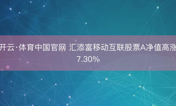 开云·体育中国官网 汇添富移动互联股票A净值高涨7.30%